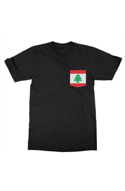 gildan mens t shirt